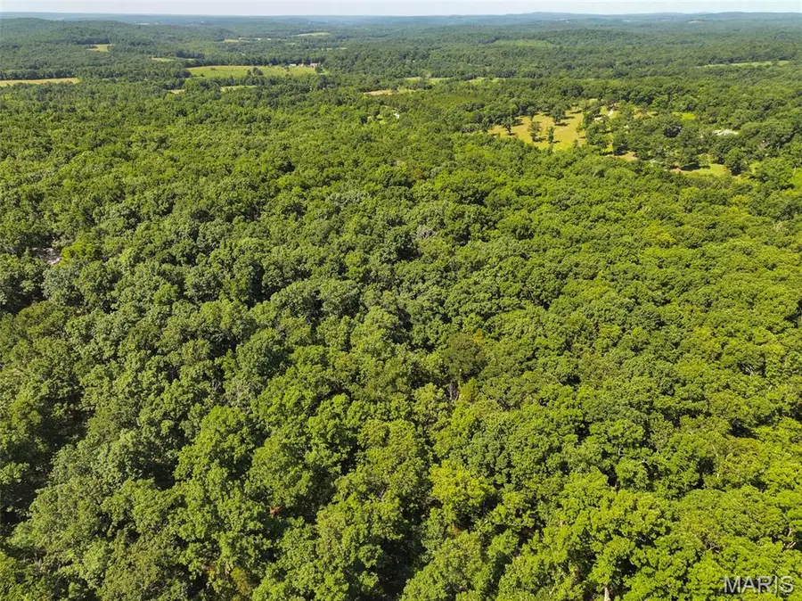 0 Kingston Road, Potosi, MO 63664 - #2