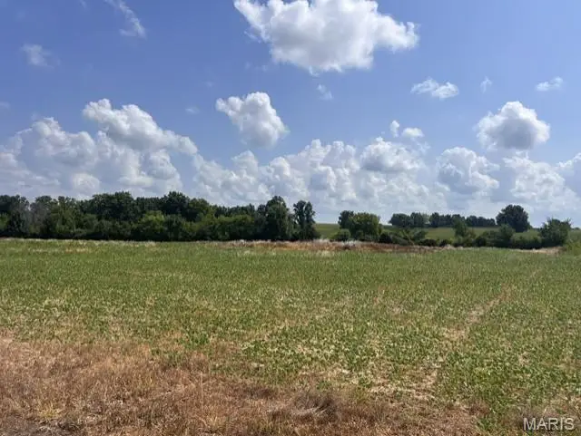 12.41 Acres Palo Pinto Drive, Ofallon, MO 63366 - #2