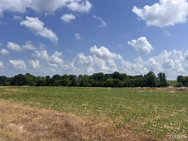 12.41 Acres Palo Pinto Drive, Ofallon, MO 63366 - #3