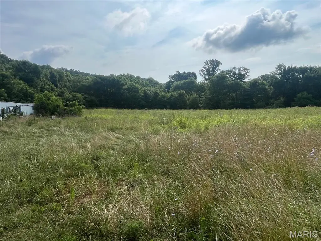 11494 Old Hwy 8, Potosi, MO 63664 - #1