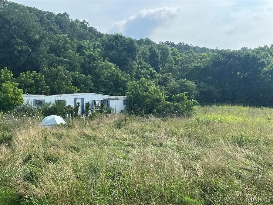 11494 Old Hwy 8, Potosi, MO 63664 - #2