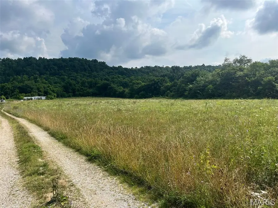 11494 Old Hwy 8, Potosi, MO 63664 - #3