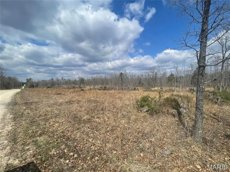 0 Highway 21 & Cr 229 S, Ellsinore, MO 63937 - #3