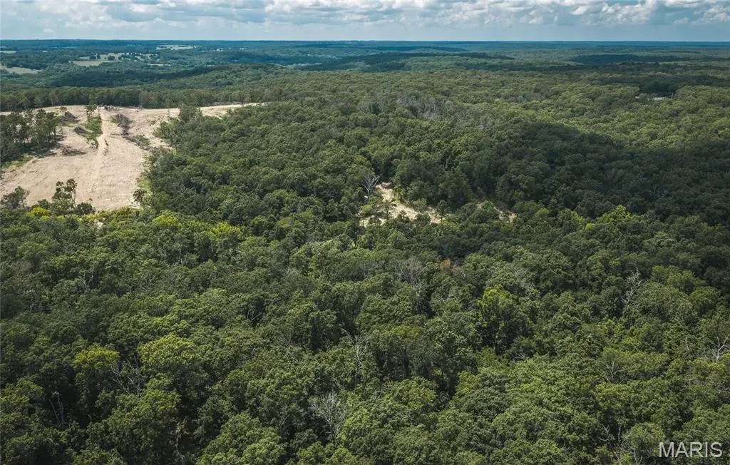 TBD Geronimo Springs Road-tract 4, Macks Creek, MO 65786 - #1