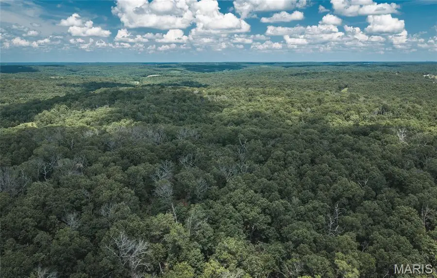 TBD Geronimo Springs Road-tract 5, Macks Creek, MO 65786 - #2