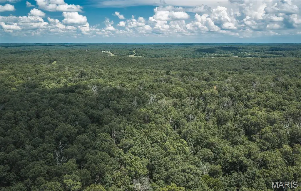 TBD Geronimo Springs Road-tract 6, Macks Creek, MO 65786 - #1