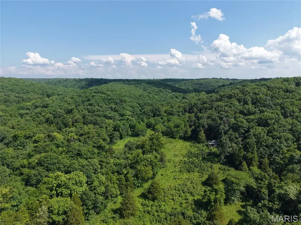 416+- Acres Christy Mine Road, Bourbon, MO 65441 - #1
