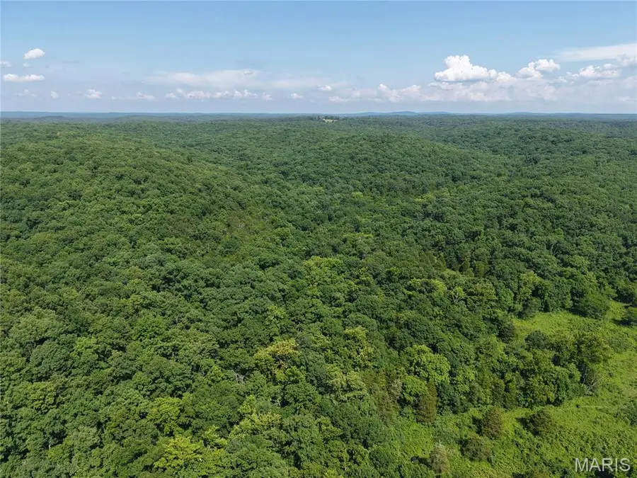 416+- Acres Christy Mine Road, Bourbon, MO 65441 - #2