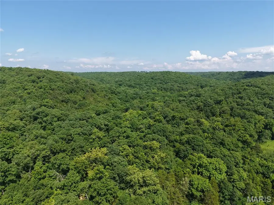 416+- Acres Christy Mine Road, Bourbon, MO 65441 - #3