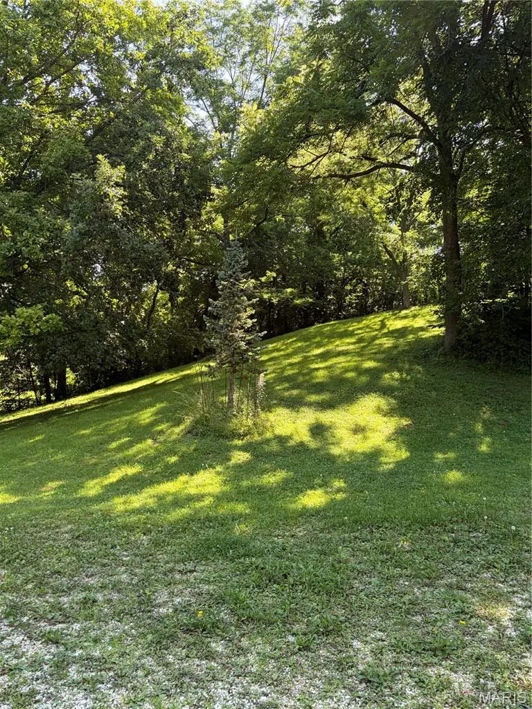 8773 Highway 79, Louisiana, MO 63353 - #3