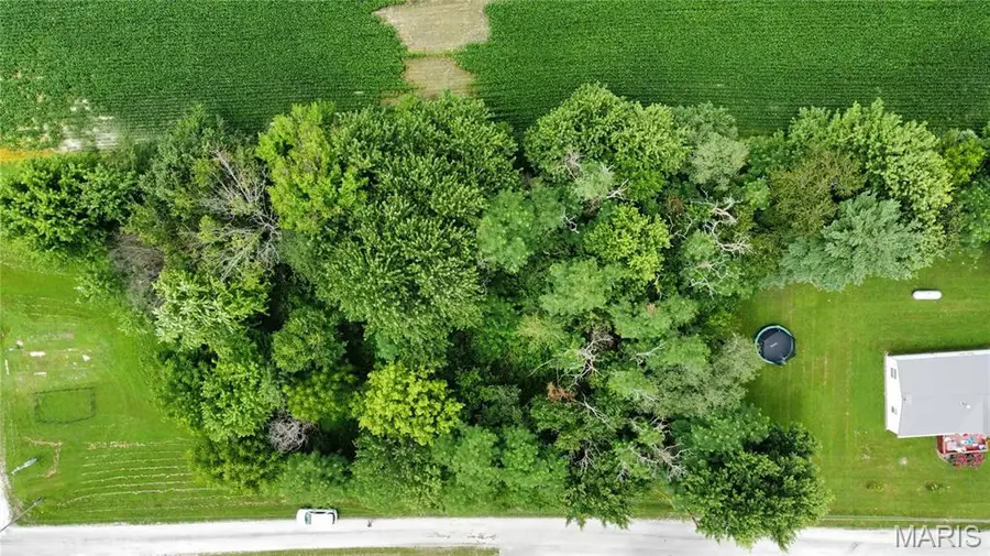 TBD West Fellin Drive, Mount Olive, IL 62069 - #2