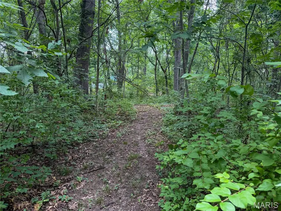 0 S Panther Creek Road, Mount Olive, IL 62069 - #3