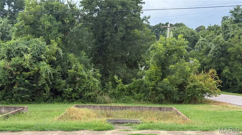 00 S Side Park Ave, Poplar Bluff, MO 63901 - #1