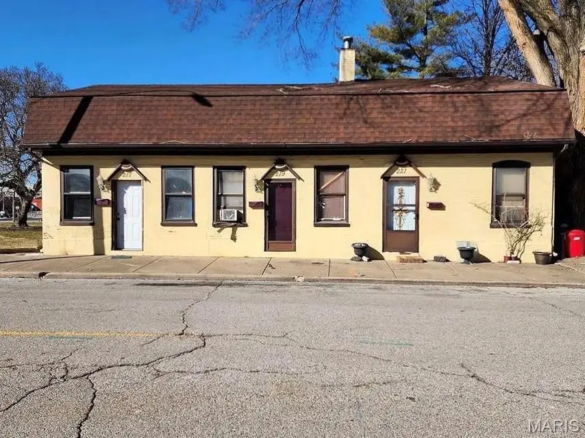 219 N High Street, Belleville, IL 62220 - #1