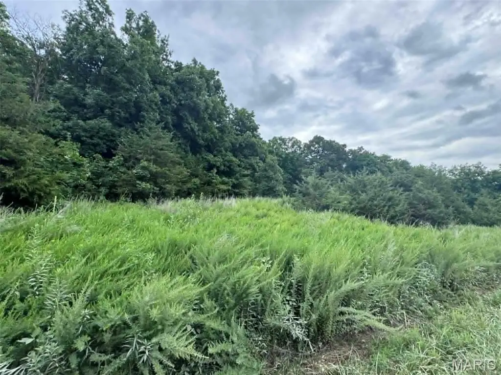0 Walnut Street Place, New London, MO 63459 - #1