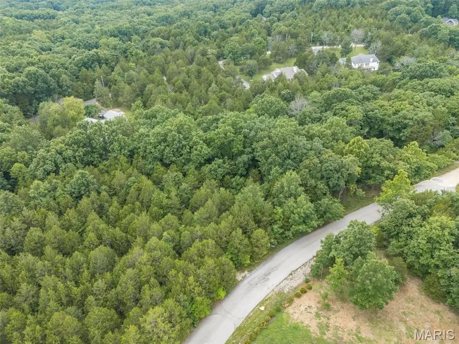 9909 Sassafras Drive, Hillsboro, MO 63050 - #2