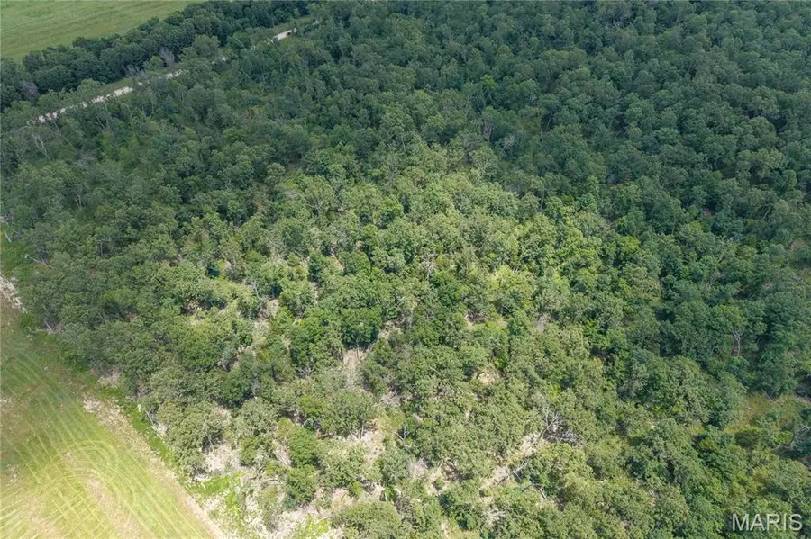 Tract 2 Keepsake Road, Stoutland, MO 65567 - #2
