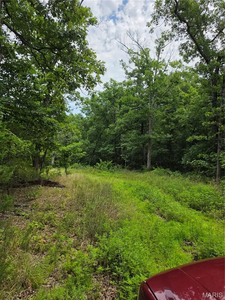 23675 Grandview Road, Lebanon, MO 65536 - #3