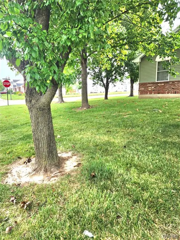 1236 Saint Matthew Avenue, Ofallon, MO 63366 - #2