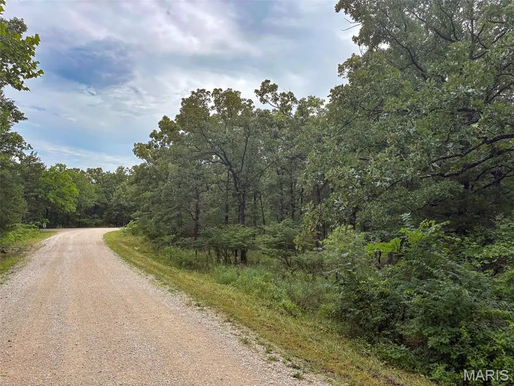 0 W Mont Carmel Street, Bonne Terre, MO 63628 - #1