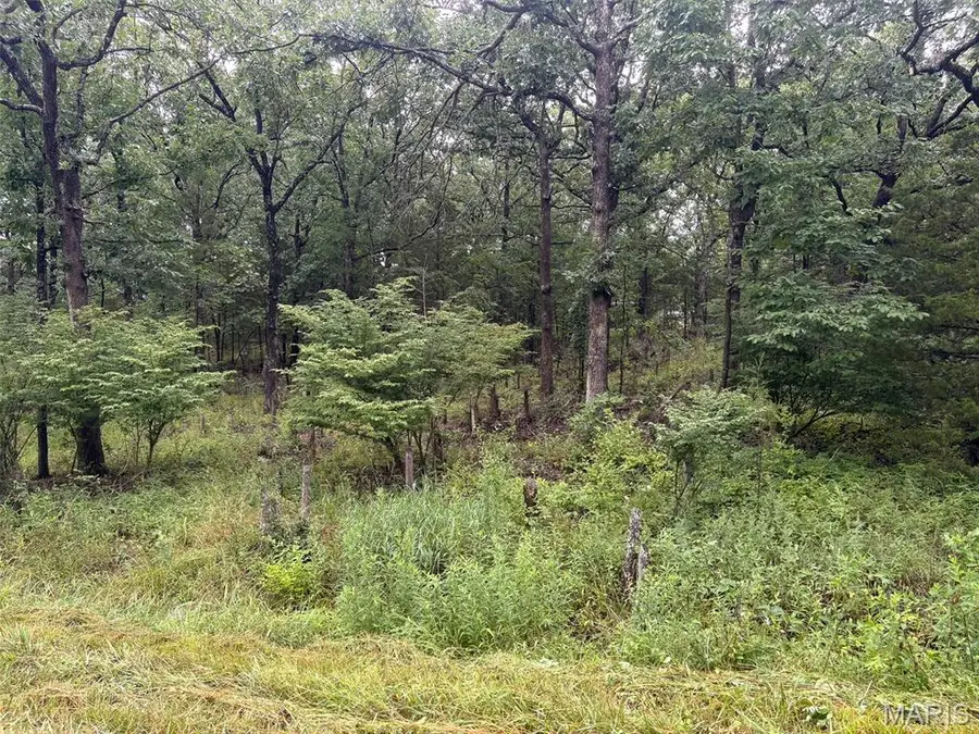 0 W Mont Carmel Street, Bonne Terre, MO 63628 - #3