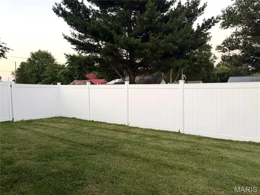 303 Davis, Ava, IL 62907 - #3