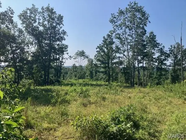 131 Madison Cr 410, Fredericktown, MO 63645