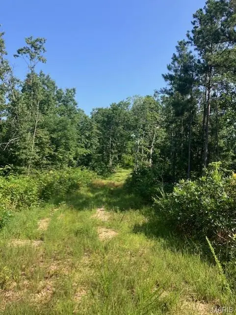 132 Madison Cr 410, Fredericktown, MO 63645 - #2