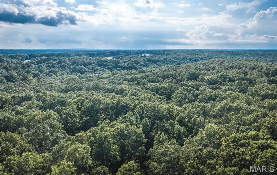 TBD County Road 8430, Rolla, MO 65401 - #2