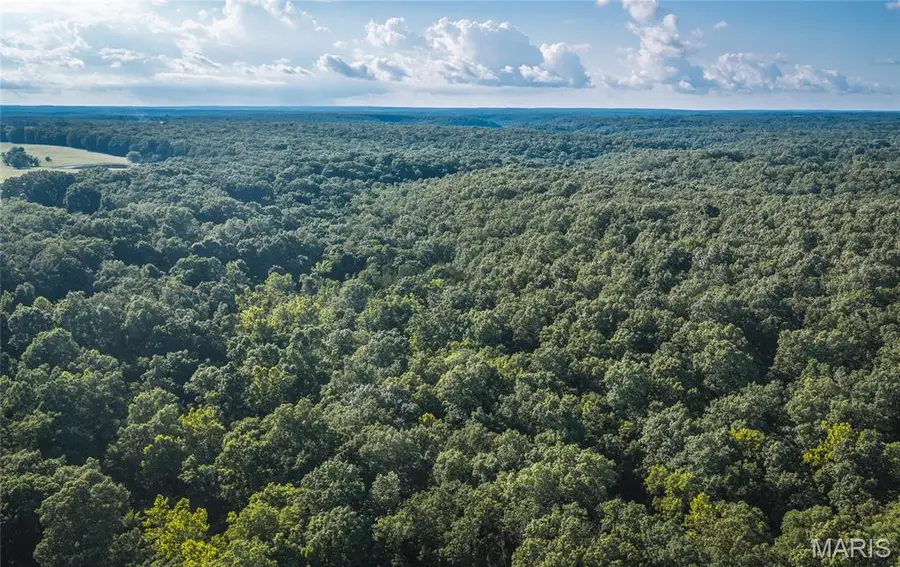 TBD County Road 8430, Rolla, MO 65401 - #3