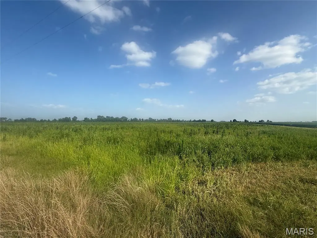 0 County Road 406, Hayti, MO 63851 - #1