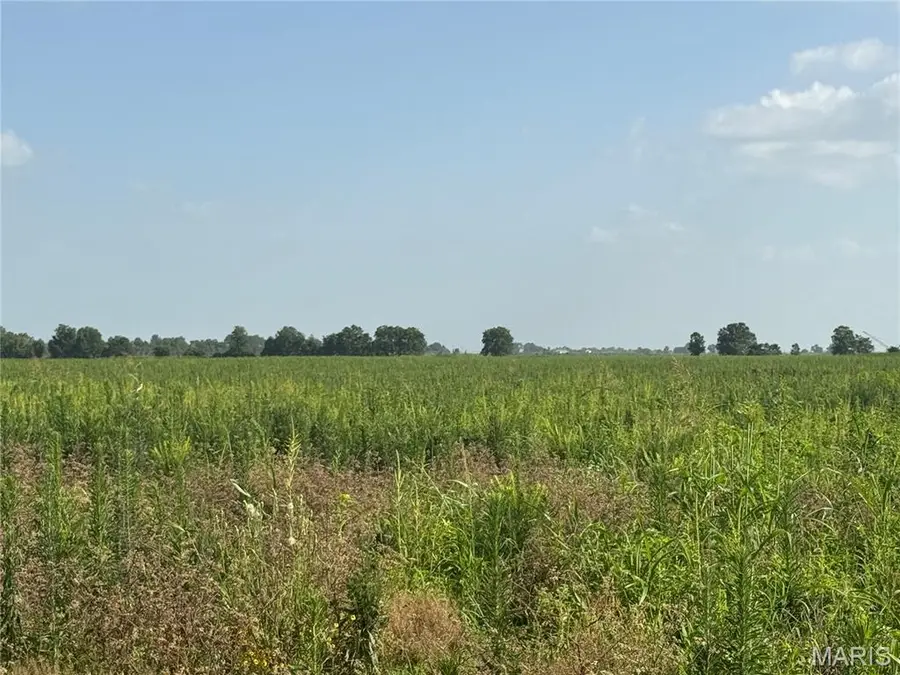 0 County Road 406, Hayti, MO 63851 - #2