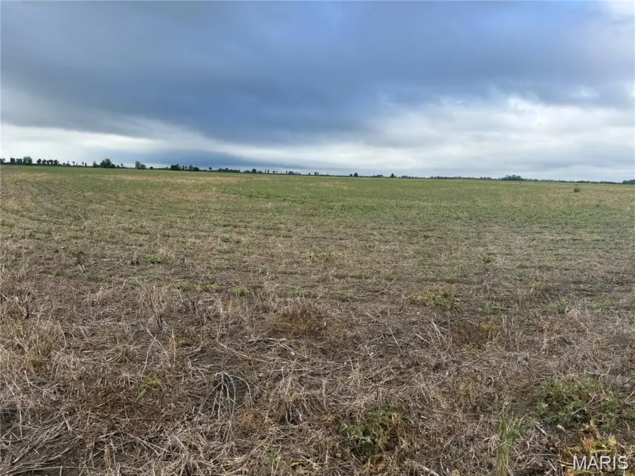 0 County Road 406, Hayti, MO 63851 - #3