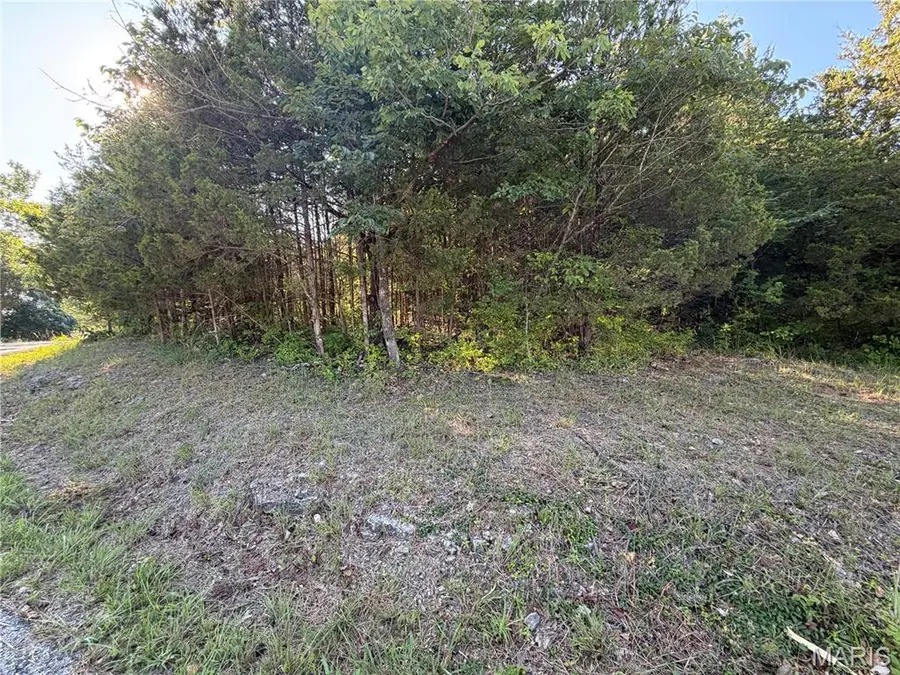 Lot 82 B N Lake Drive, Hillsboro, MO 63050 - #2