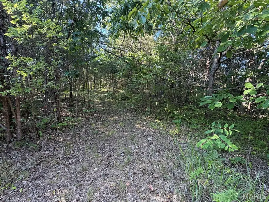 Lot 82 B N Lake Drive, Hillsboro, MO 63050 - #3