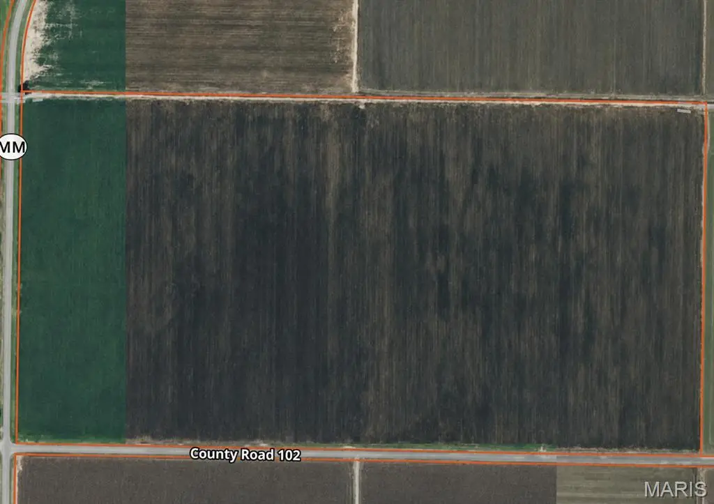43096 State Highway Mm, Malden, MO 63863 - #1