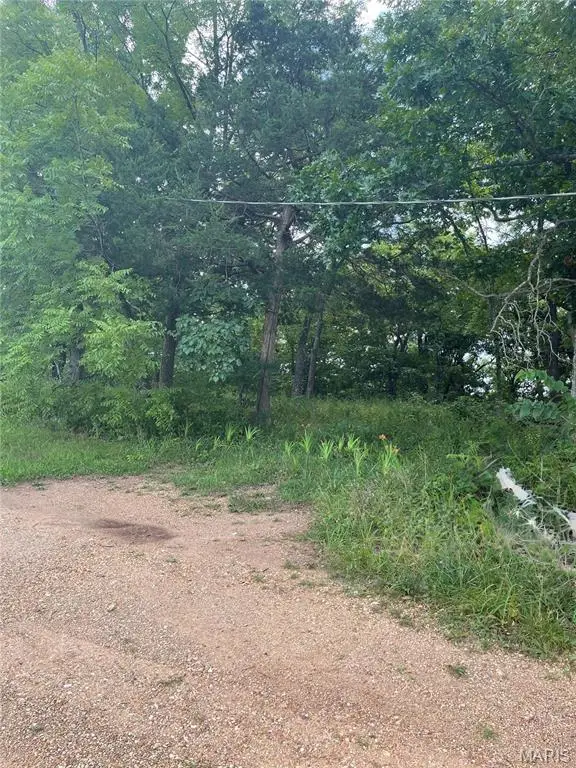 15639 State Highway 185, Potosi, MO 63664 - #3