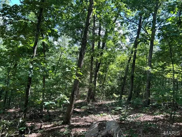 1 Forest Rd Banner-belleview Road, Belleview, MO 63623 - #2