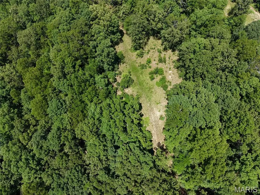 000 Highway 172, Black River, MO 63957 - #2
