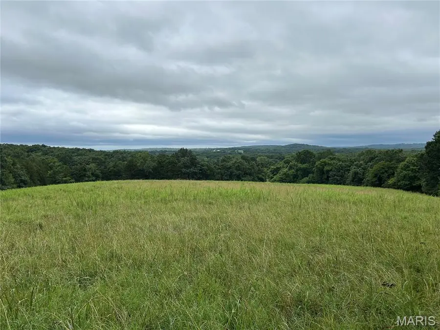0 Allen Road, Hillsboro, MO 63050 - #2