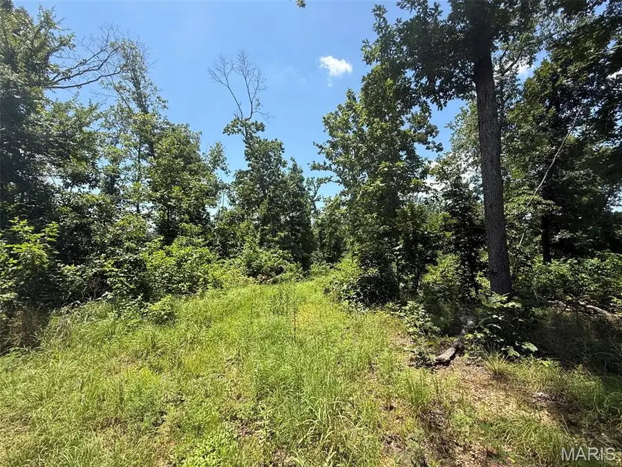 0 Bcr 840, Marquand, MO 63655 - #3