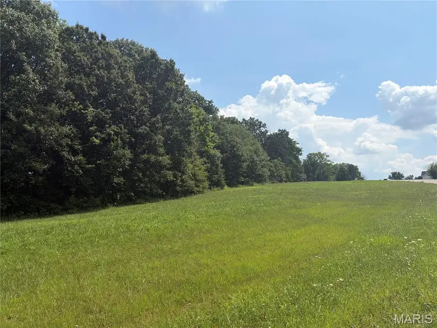 100 Summers Drive, Hawk Point, MO 63349 - #3