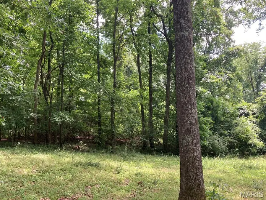 0 Scenic View Lane, Cape Girardeau, MO 63701 - #3