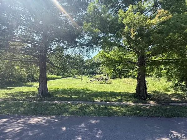 717 Lincoln Street, Elsberry, MO 63343