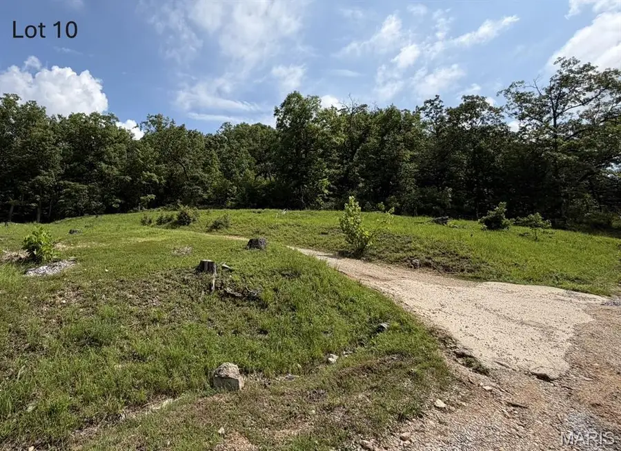 Lots 10 & 11 Bass Road, Cuba, MO 65453 - #3