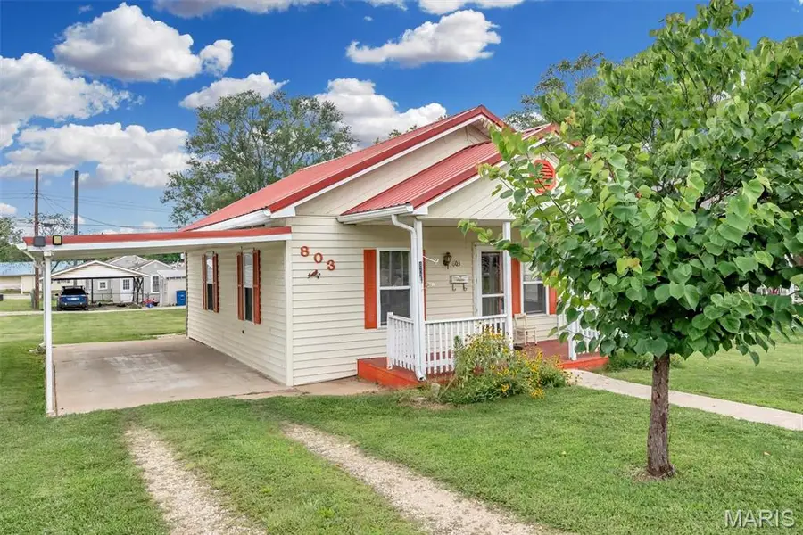 803 N Grant Street, Desloge, MO 63601 - #3