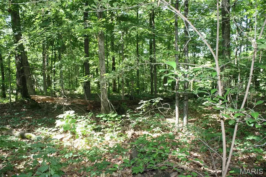 00 Lakview Drive, Wappapello, MO 63966 - #2
