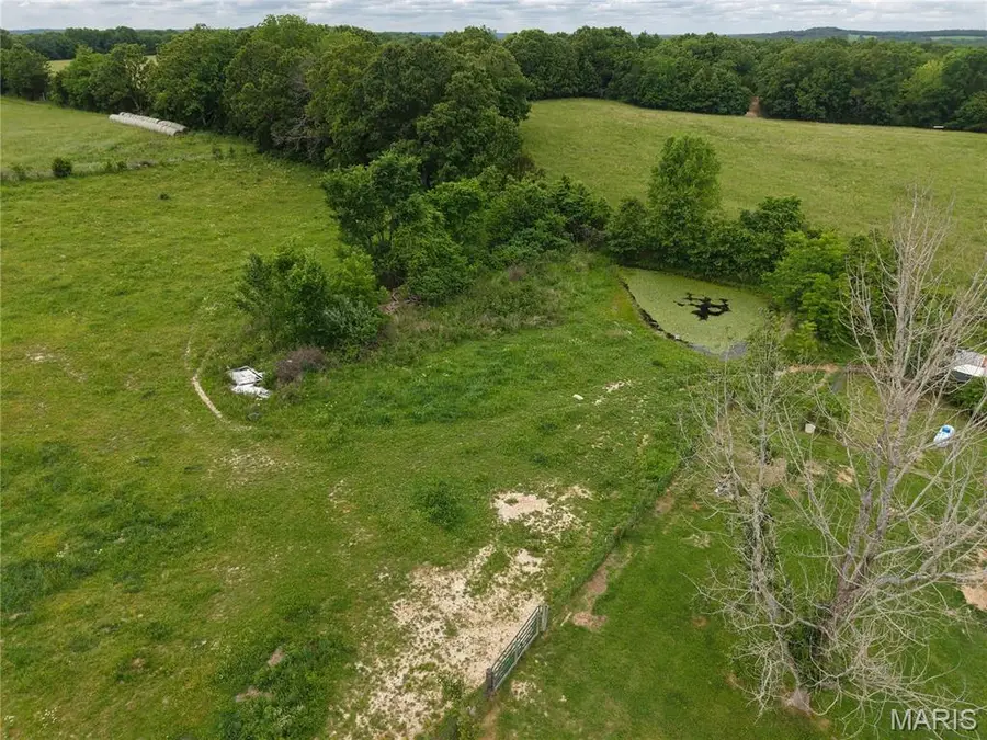 40190 Dandelion Road, Falcon, MO 65470 - #3