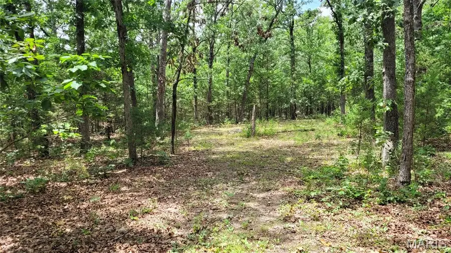 00 Lot 2 Victoria Woods Drive, Hillsboro, MO 63050 - #2