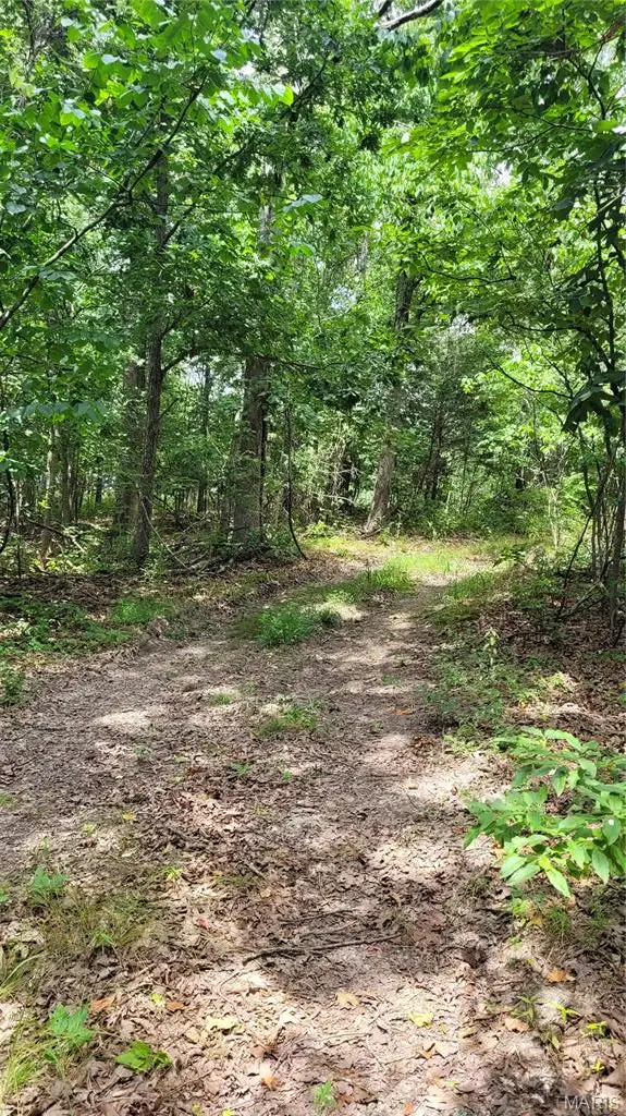 00 Lot 2 Victoria Woods Drive, Hillsboro, MO 63050 - #3